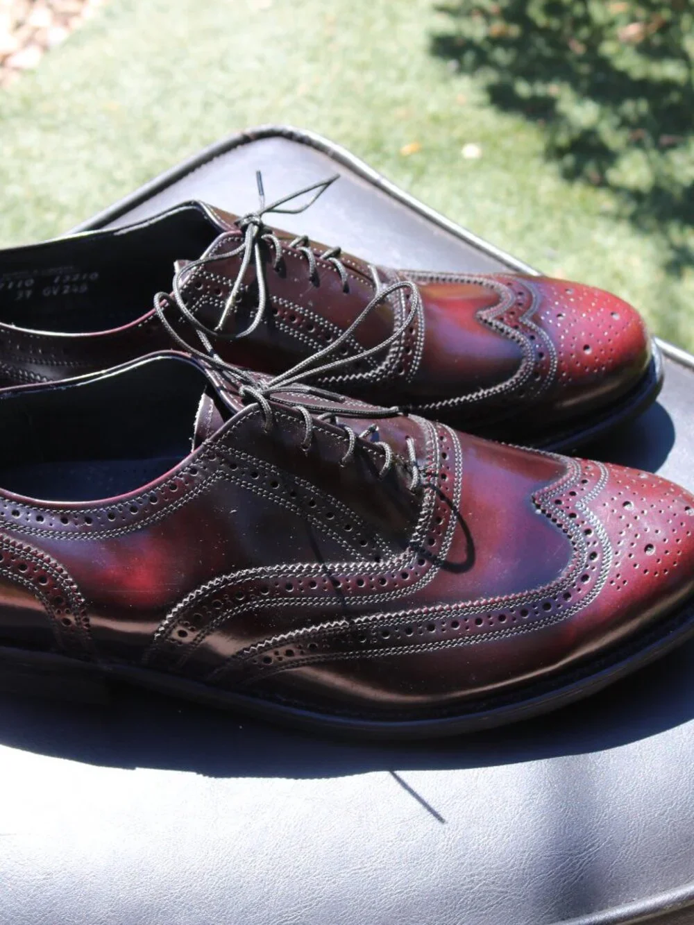 Stuart McGuire Longwing Blucher 